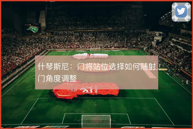 什琴斯尼：门将站位选择如何随射门角度调整