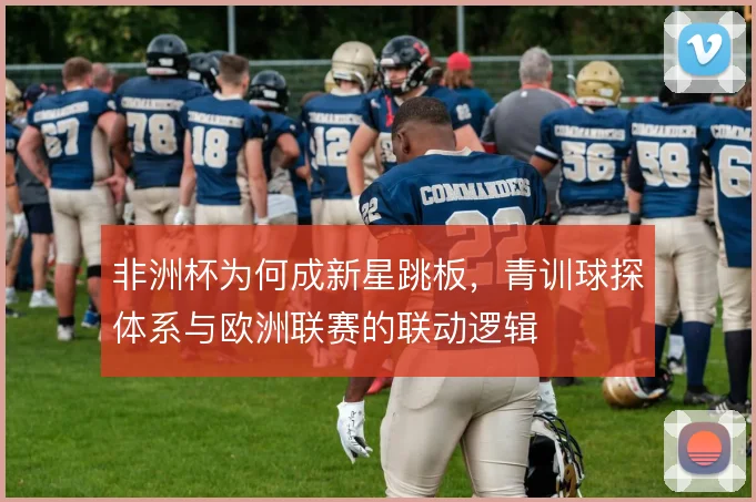 非洲杯为何成新星跳板,青训球探体系与欧洲联赛的联动逻辑